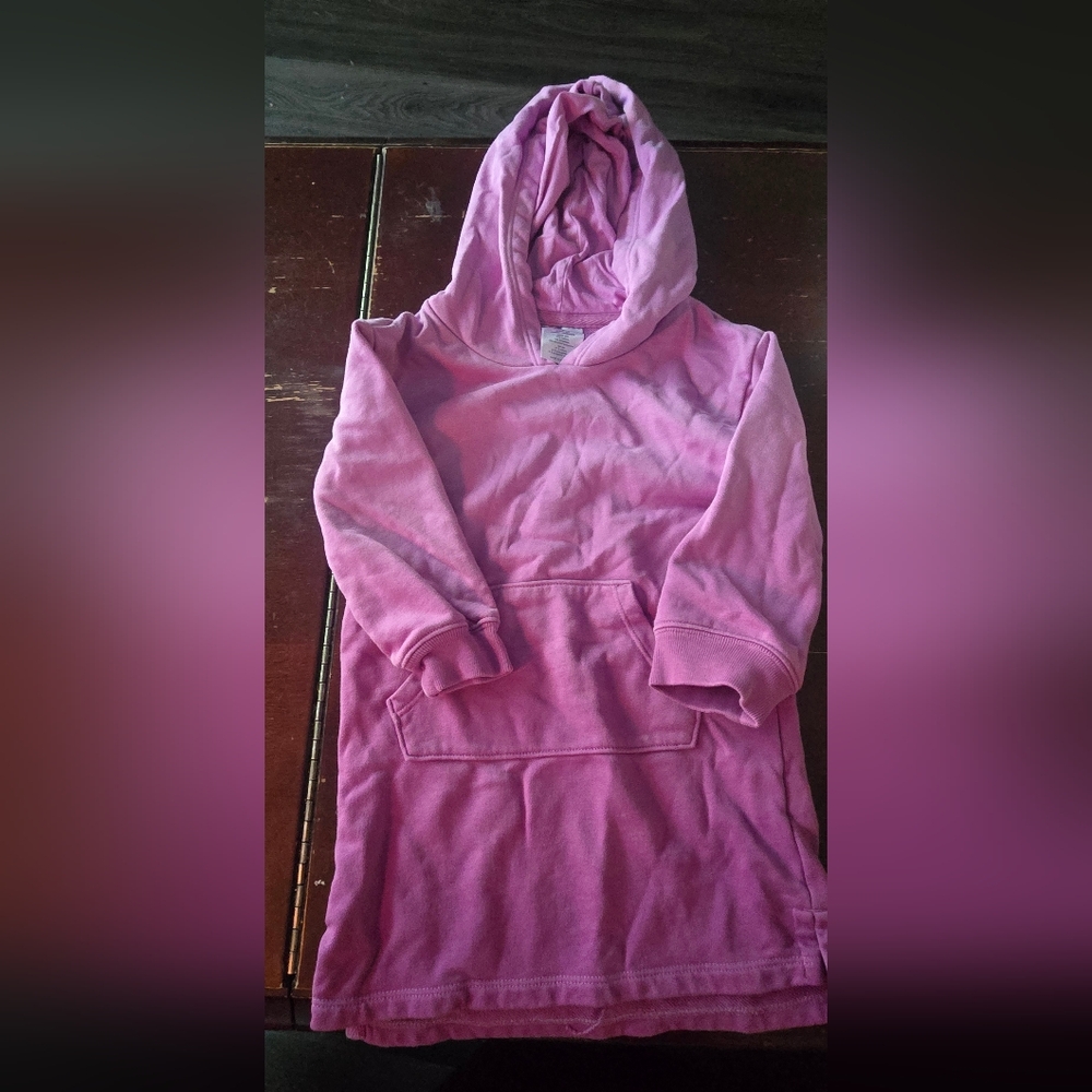 GAP Lavender Hoodie
